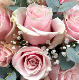 Valentines 12 Pink Rose & Gyp Bouquet